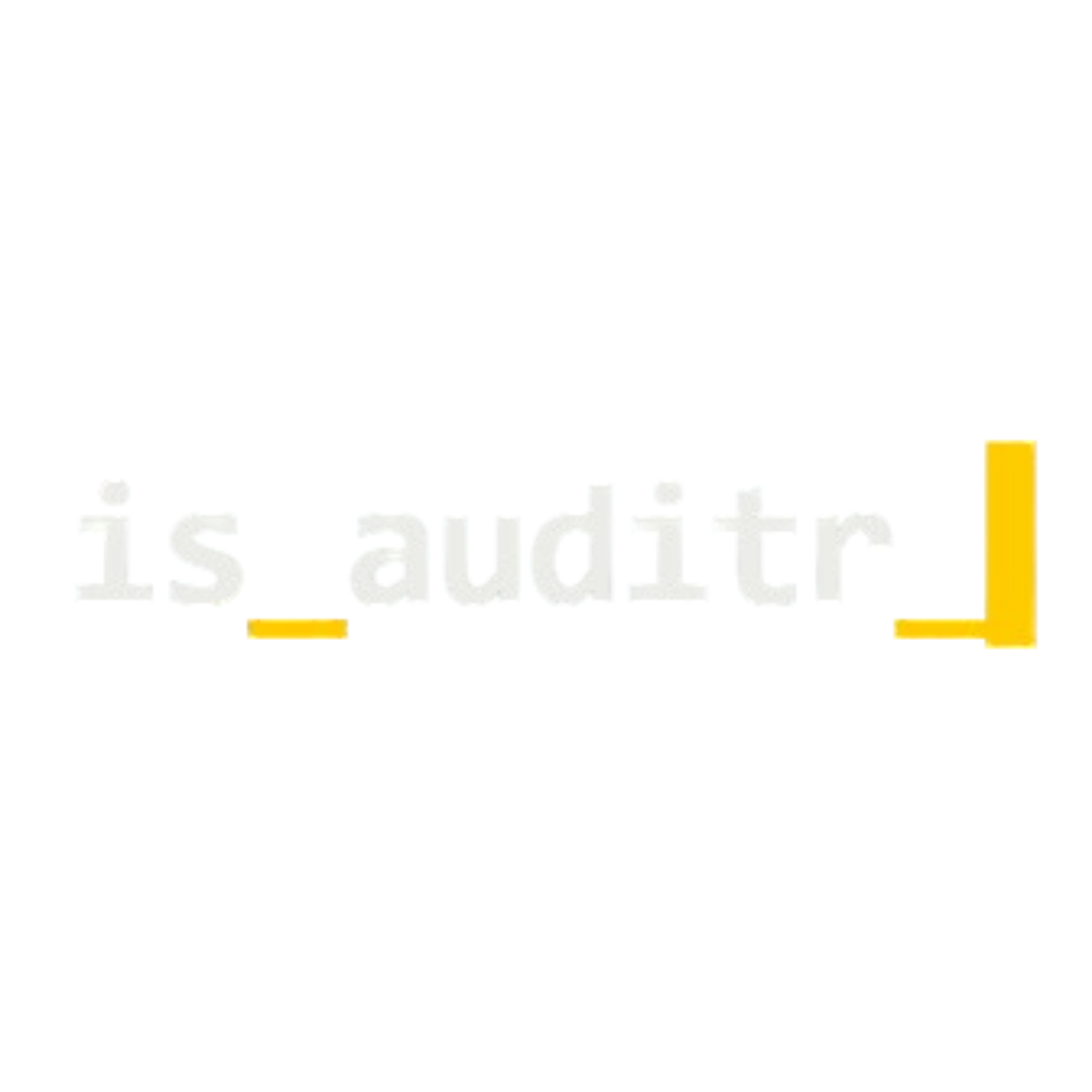 IS Auditor