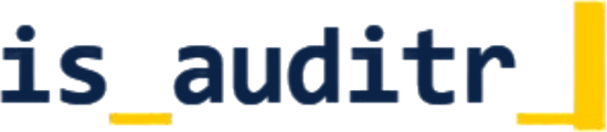 IS Auditor